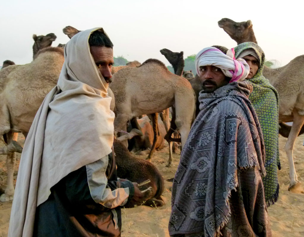 A group of camel herders