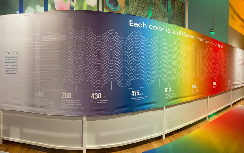 Color exhibit stating, "Every color is a different wavelength of light." 