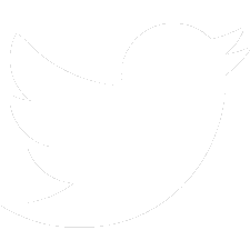 twitter-logo-white